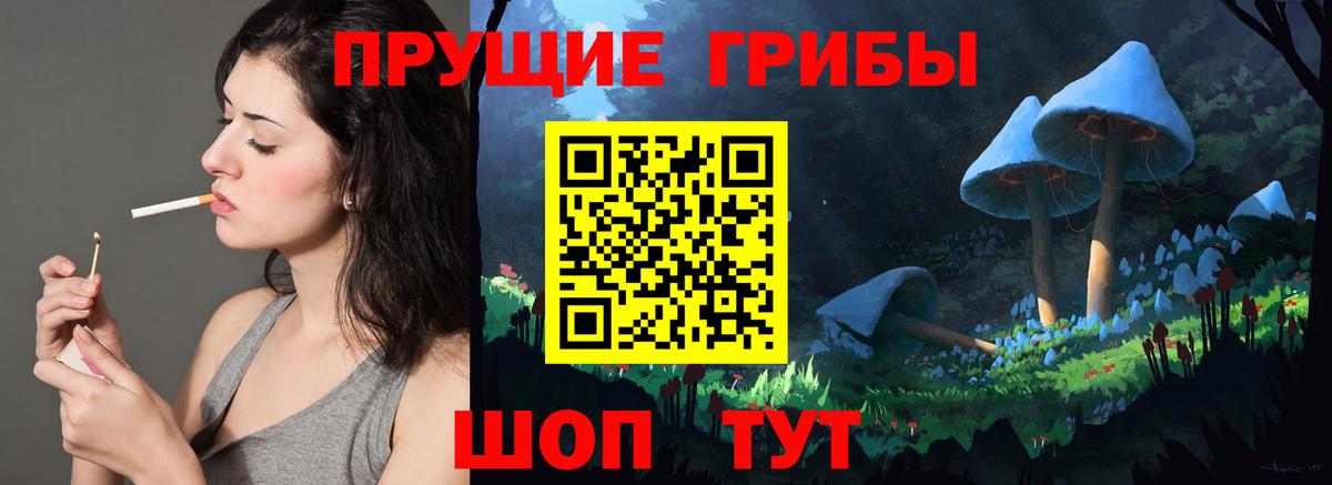 Новоуральск  Псилоцибиновые грибы мухоморы  Вход с VPN 